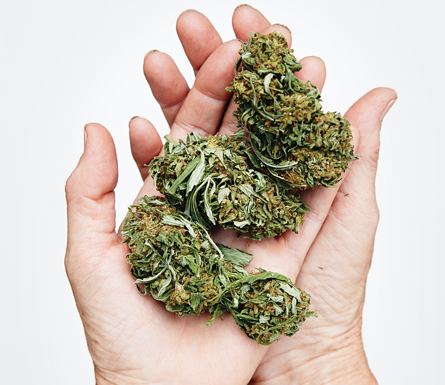 marijuana for nerve pain