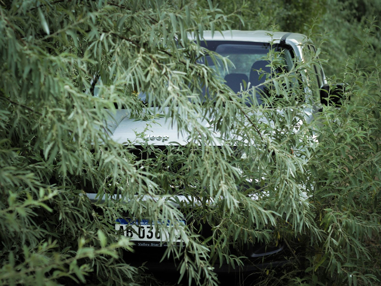 driving with medical cannabis