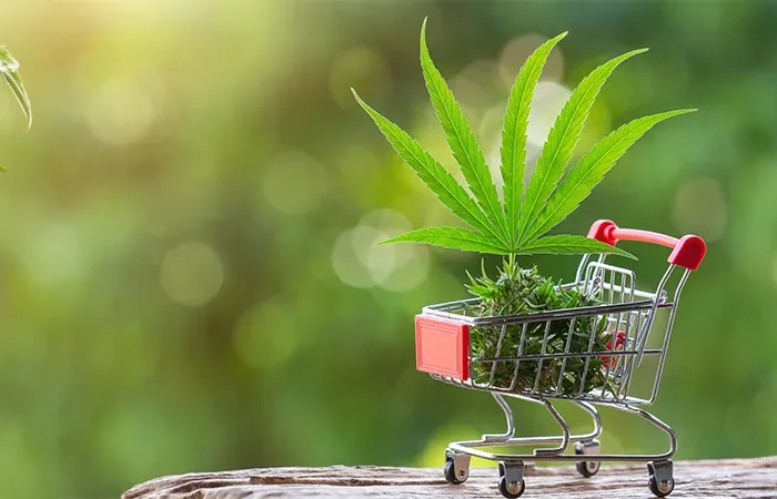 medical cannabis