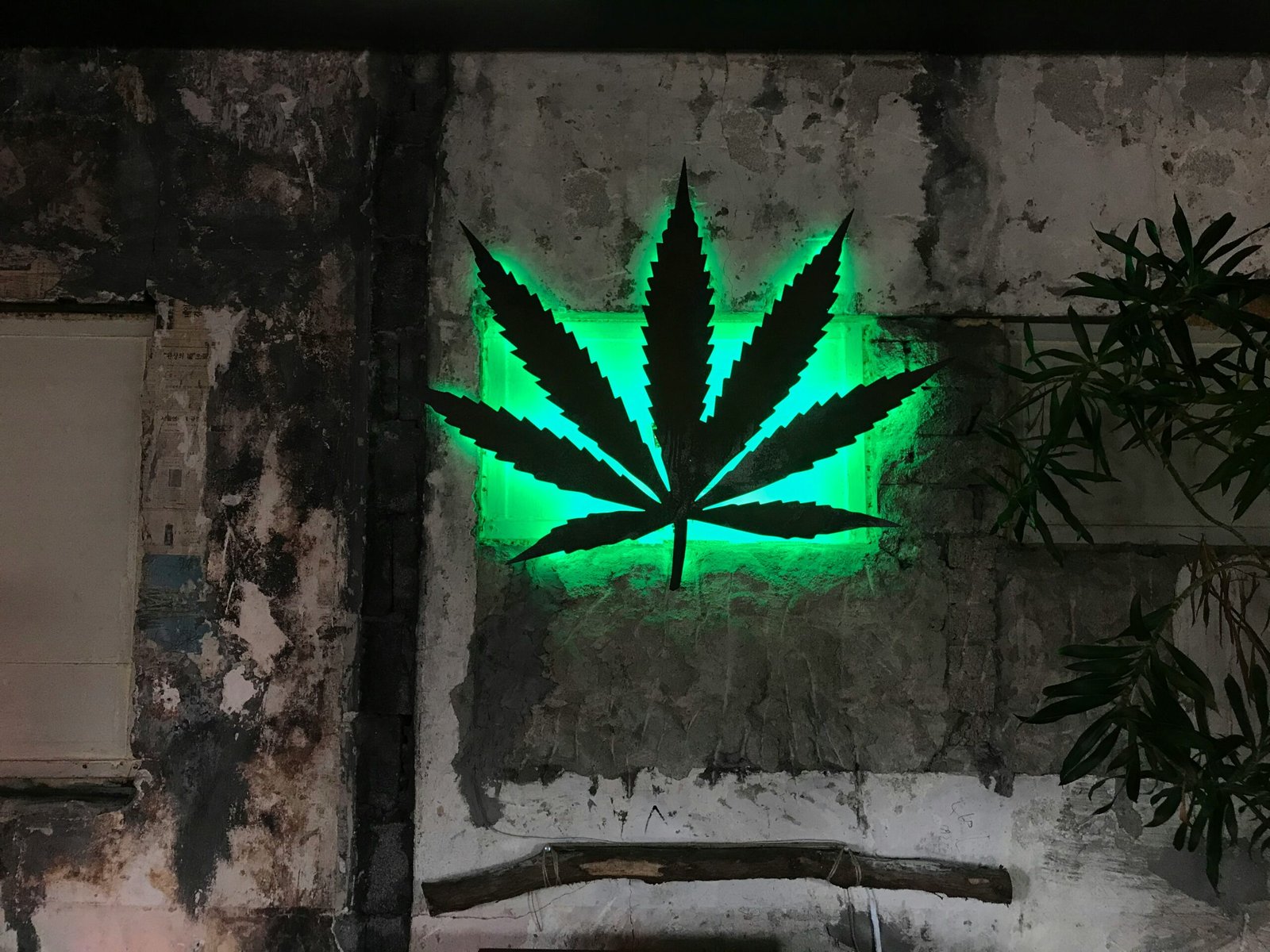 Best Cannabis Clinics