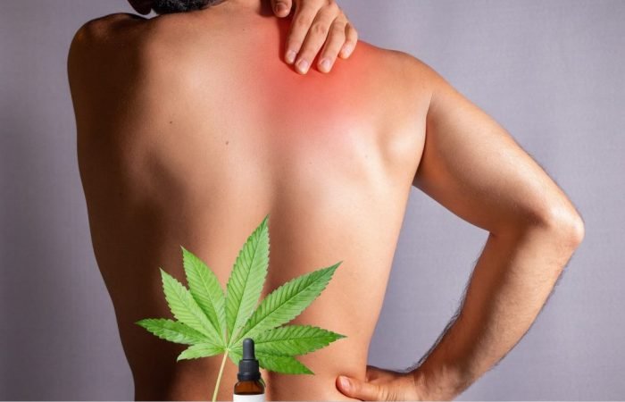 Back Pain