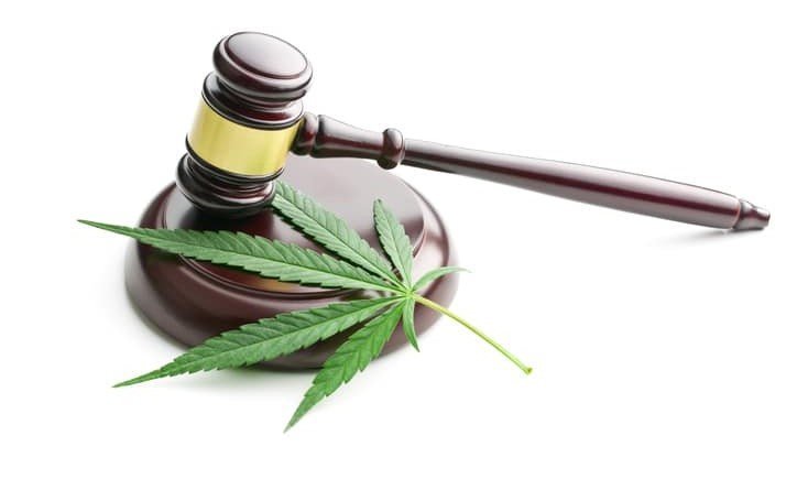 Medical Cannabis Laws